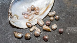 خواص مروارید Pearl